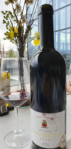 Parcul Traian 31, Oradea 410044