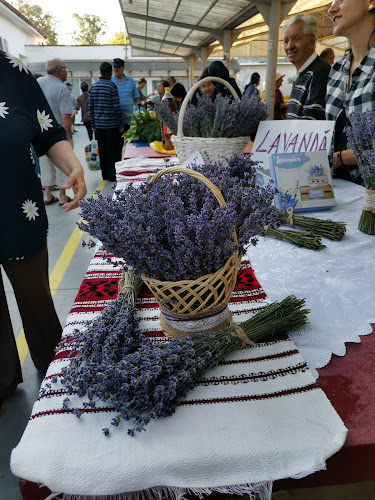 Strada Popa Șapcă 5, Balș 235001