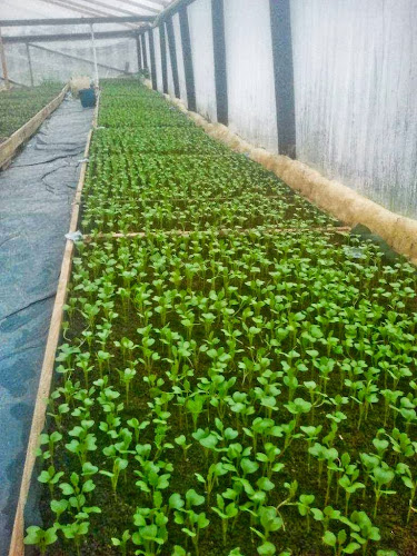 Opinii despre Ferma din Ardeal în Căluşeri - Gastronomie și ospitalitate