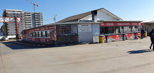 TARG DE LEGUME, FRUCTE SI FLORI