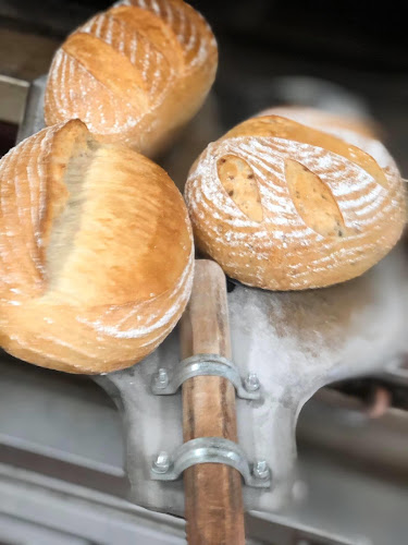 Comentarii opinii despre Maia Pan