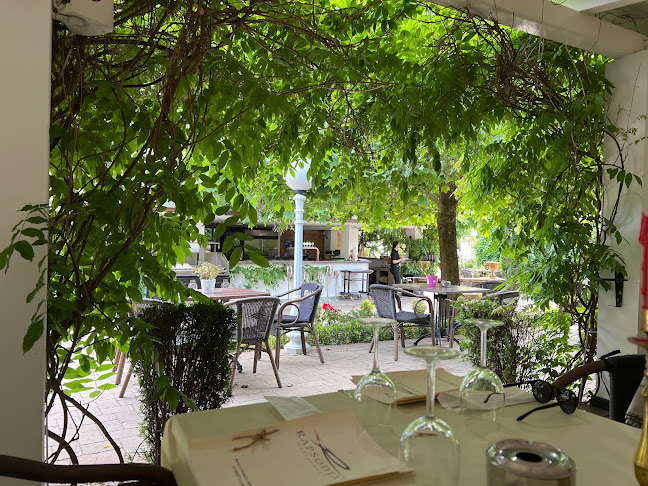 Rapsodia - Bistrița