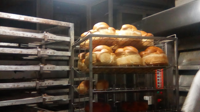 SC CARA PRODIMPEX SRL - Arad