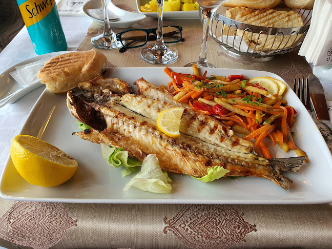 Comentarii opinii despre Camarote