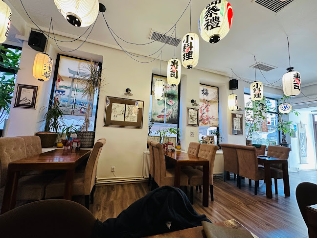 Tokyo Rikiya - Constanța