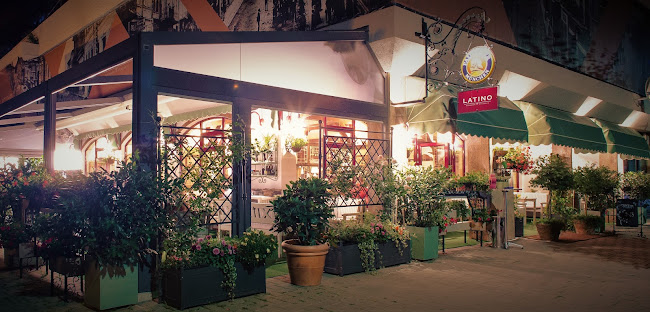 Strada Curtea Domnească 9, Suceava 720008