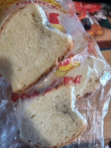 Opinii despre Aila AP SRL în Oradea - Gastronomie și ospitalitate