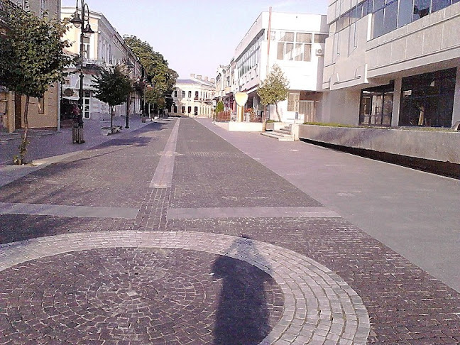 Comentarii opinii despre Restaurant Botosani