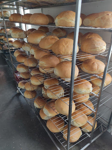 Comentarii opinii despre Brutaria Sc Agroservice Bucsa