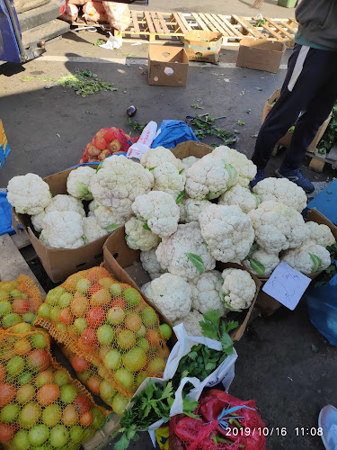 Șos. Nicolina 55b, Iași 700259