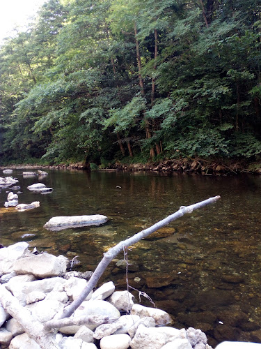 Strada Uzinei, Băile Herculane 325200