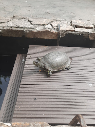 Restaurant Heavens - Gastronomie și ospitalitate