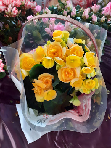 Piața Giroc - Timișoara