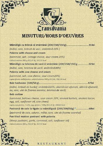 Comentarii opinii despre Restaurant Transilvania Brașov