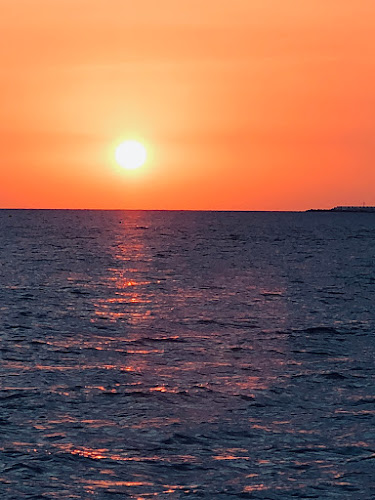 Surimi com - Brașov