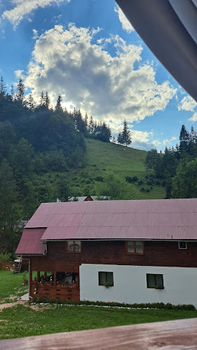 Pensiunea La Marian - Gastronomie și ospitalitate