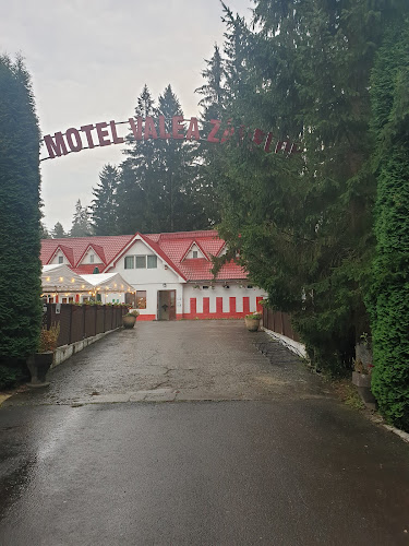 Restaurant Valea Zânelor Covasna - Kovásznai Tündérvölgy Étterem - Gastronomie și ospitalitate