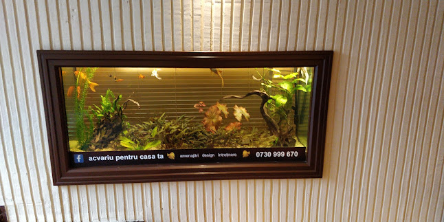 Qzine - Gastronomie și ospitalitate