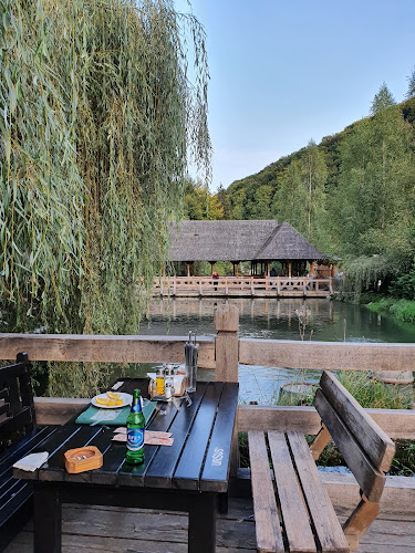 Păstrăvăria Alex - Gastronomie și ospitalitate