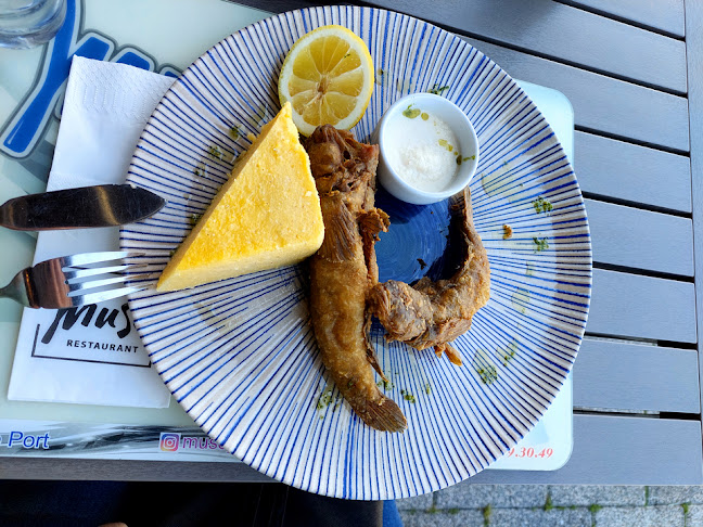 Muse Port - Constanța