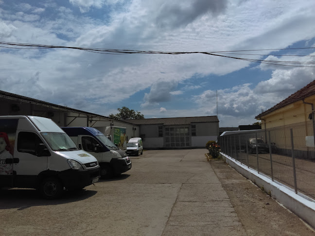 Opinii despre Mopan în Bârlad - Gastronomie și ospitalitate