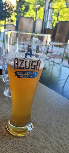 Comentarii opinii despre Artisan 19