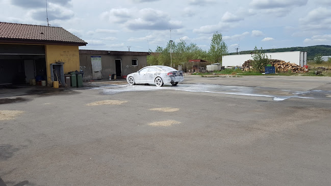 Comentarii opinii despre Royal 60