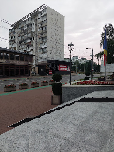 La bibliotecă - Suceava