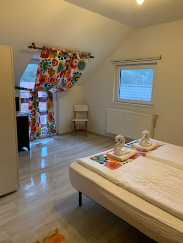 Dorf Haus Cazare in Valiug Franzdorf, Caras-Severin, Romania - Gastronomie și ospitalitate