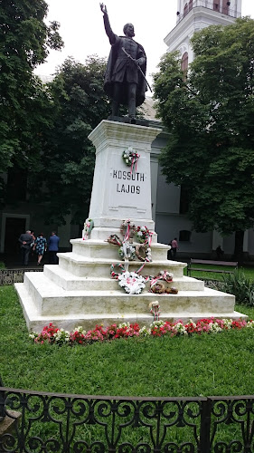 Strada Bocskai Istvan 25, Salonta 415500