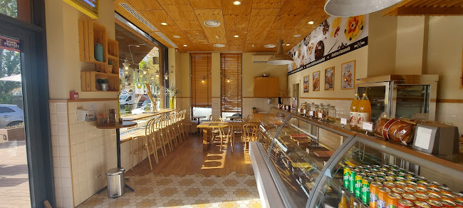 Ana Pan Pompeiu - București