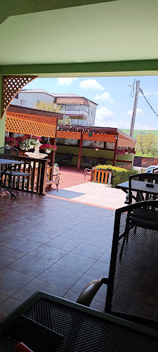 Opinii despre Restaurant Regal în Baciu - Gastronomie și ospitalitate
