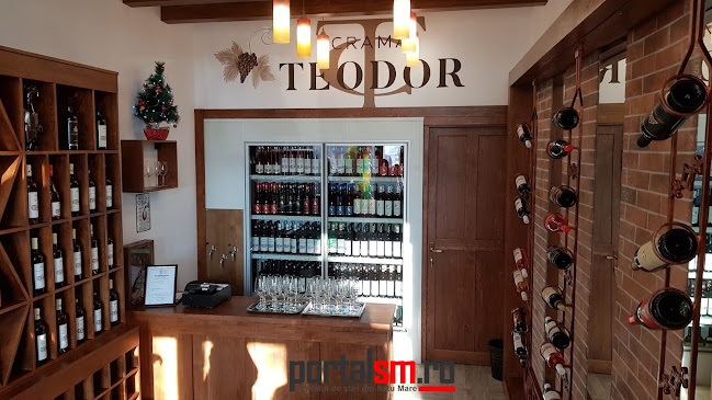 Opinii despre Crama Teodor în Satu Mare - Gastronomie și ospitalitate
