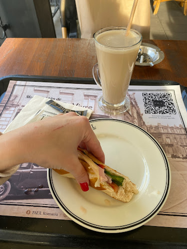 Comentarii opinii despre Paul