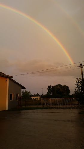 Ludwig Bauer s.r.l. - Gastronomie și ospitalitate