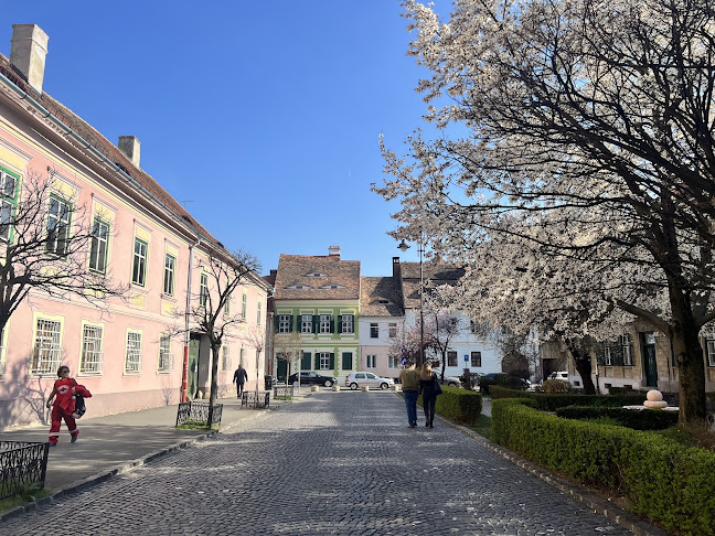 Strada Timotei Popovici 9, Sibiu 550164