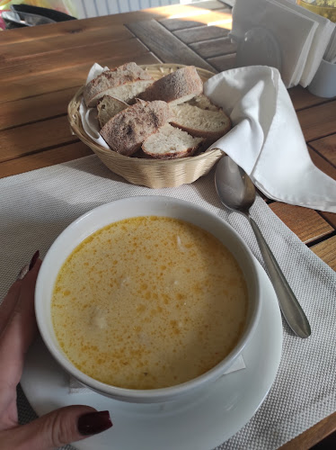 Comentarii opinii despre Latino