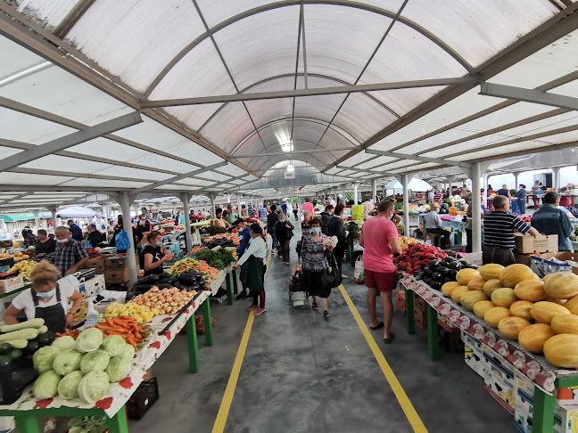 Opinii despre Piata agroalimentară Balș în Balș - Gastronomie și ospitalitate