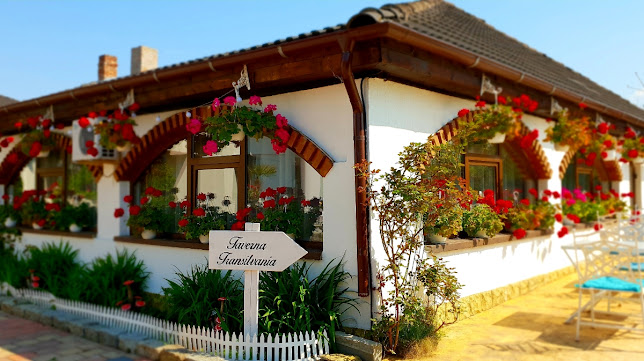 Restaurant Taverna Transilvania - Alba Iulia