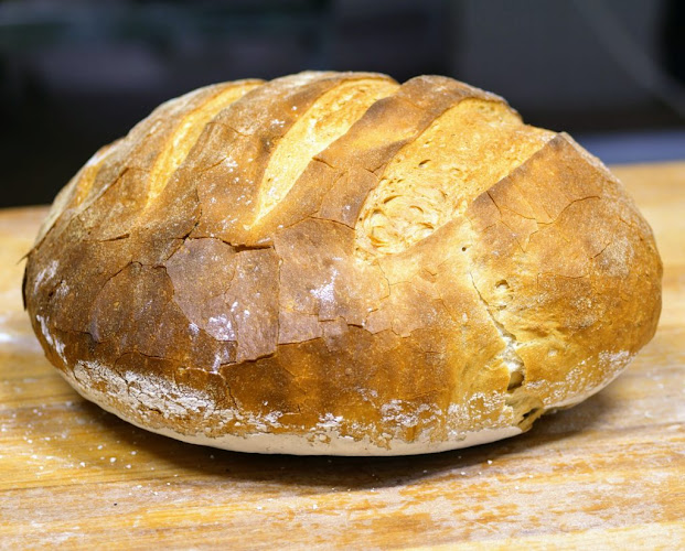 Aleea Narciselor, Dorohoi 715200