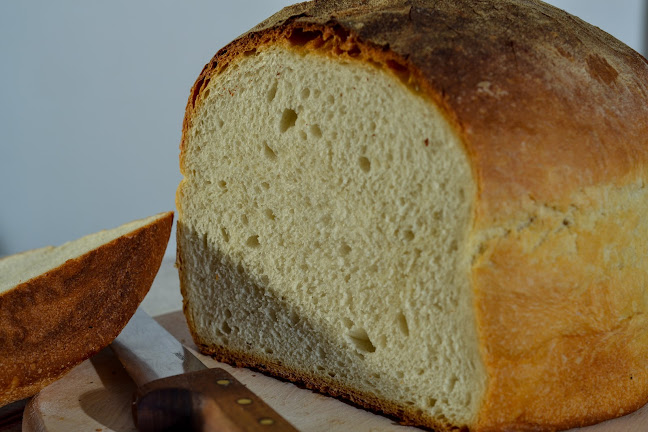 SAL-PAN S.R.L. - Salonta