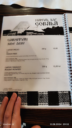 Comentarii opinii despre Hanu Lu Cobâlă