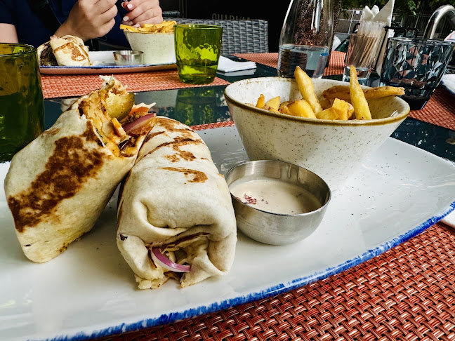 Comentarii opinii despre Sharkia