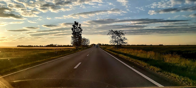 Fructe Romanesti - Rădășeni