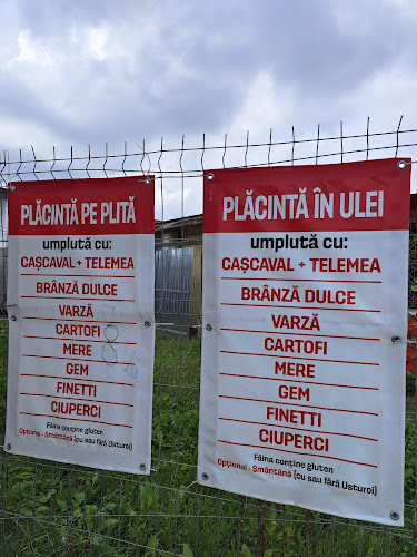 Opinii despre Plăcintă la Topa în Topa Mică - Gastronomie și ospitalitate