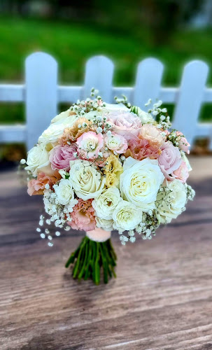 PicoBelo Florarie Fetesti - Fetești-Gară