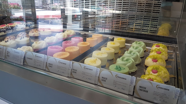 Comentarii opinii despre Chocodor