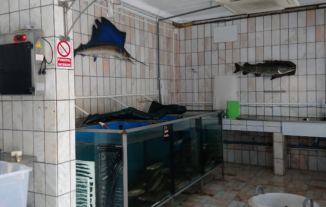 Comentarii opinii despre Solzi