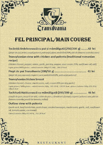 Strada Castelului 106, Brașov 500014