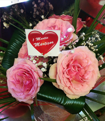 Bulevardul Libertății Numărul 79, Bușteni 105500